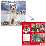 Rassekalender 2025