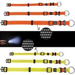 Neon & Reflex Hunde-Halsband