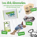 Ksten-Box