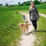 OWNEY Damen Softshell-Mantel City Hiker