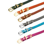 Molly & Stitch Butter Leder Hundehalsband