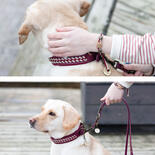 Trendfhrte Paracord Armband