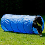 Procyon Dog Agility Starter-Set
