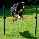 Procyon Dog Agility Starter-Set