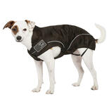 DogBite-Regenjacke - Farbe: schwarz