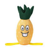 FREEDOG Mesh-Wasserspielzeug Ananas und Melone