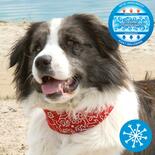 Hunde-Khlhalsband - rot -