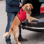 Hunde-Tragehilfe Helping Harness