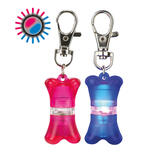 Schwimmfhiger Flasher fr Hunde