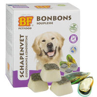 BIOFOOD Schaffett-Bonbons + Gelenkfit