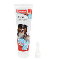 Beaphar Zahngel fr Hunde