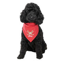 Besticktes Weihnachts-Halstuch Rentier Rotnase + Name