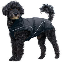 DogBite Regenjacke, Farbe: Schwarz