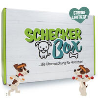 Fitmacher-Box