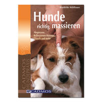 Hunde richtig massieren