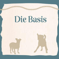 Hundefhrerschein Vorbereitung