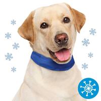 Nobby Khl-Halsband fr Hunde