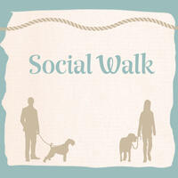 Socialwalk