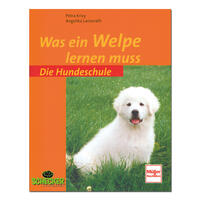 Was ein Welpe lernen muss