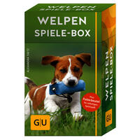 Welpen-Spiele-Box: Plus Futterbeutel für sofortigen Spielspaß