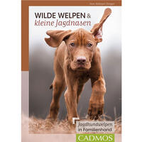 Wilde Welpen & kleine Jagdnasen