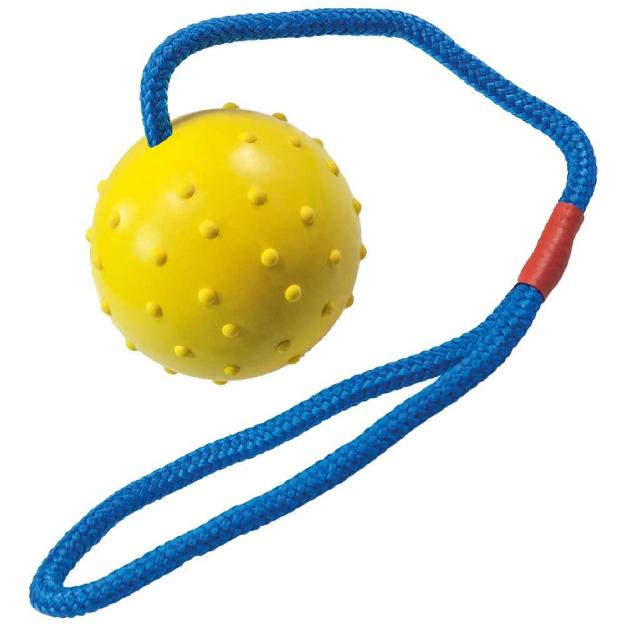 Schleuderball Schleuderball