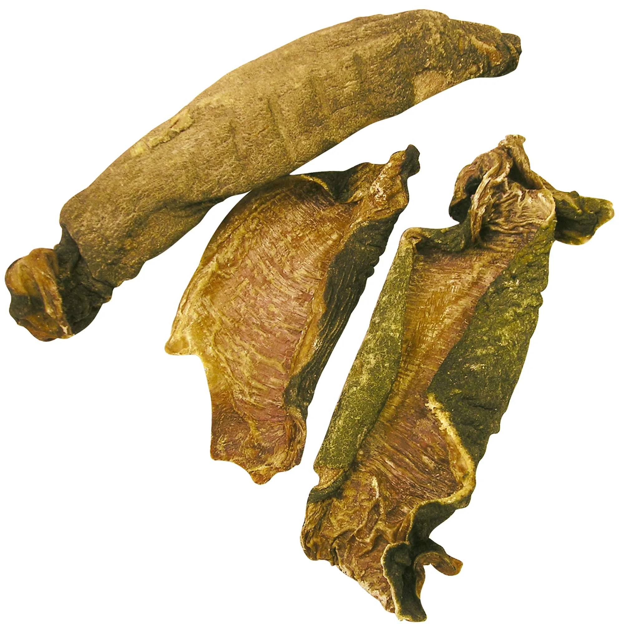 Straußen-Magen, grün 150g Straußen-Magen, grün 150g