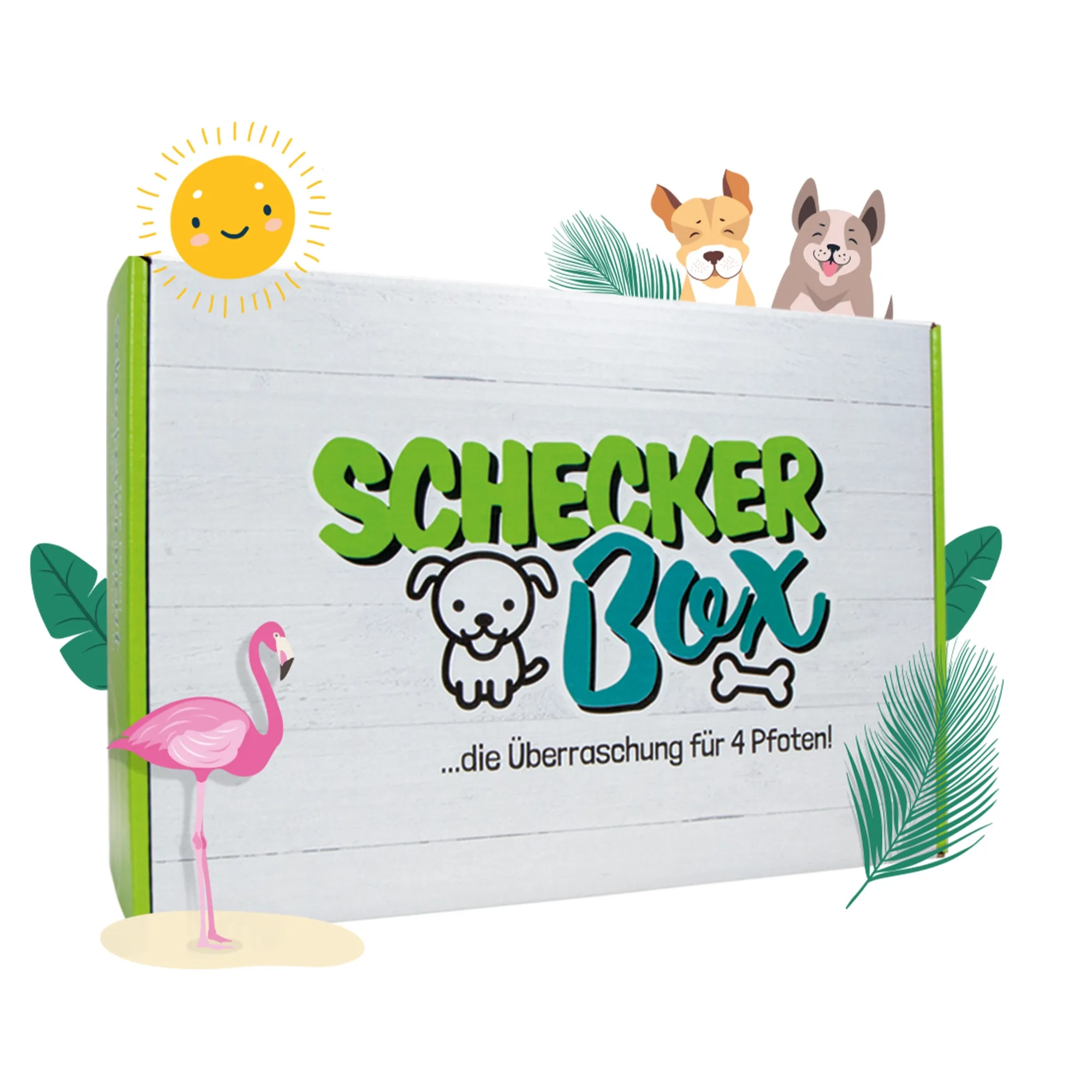 Sommer Überraschungs-Box Sommer Überraschungs-Box