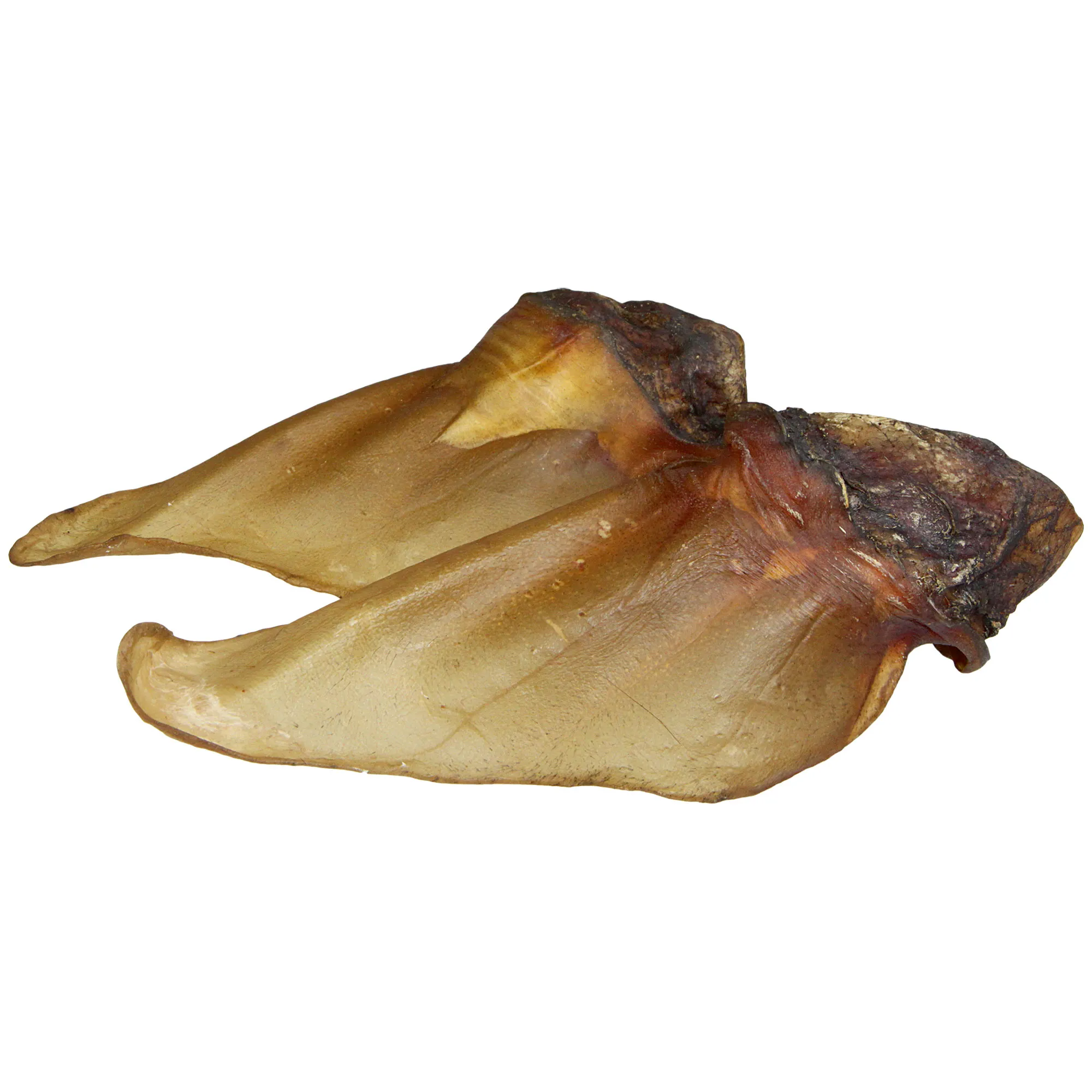 Rinderohren mit Muschel Rinderohren mit Muschel