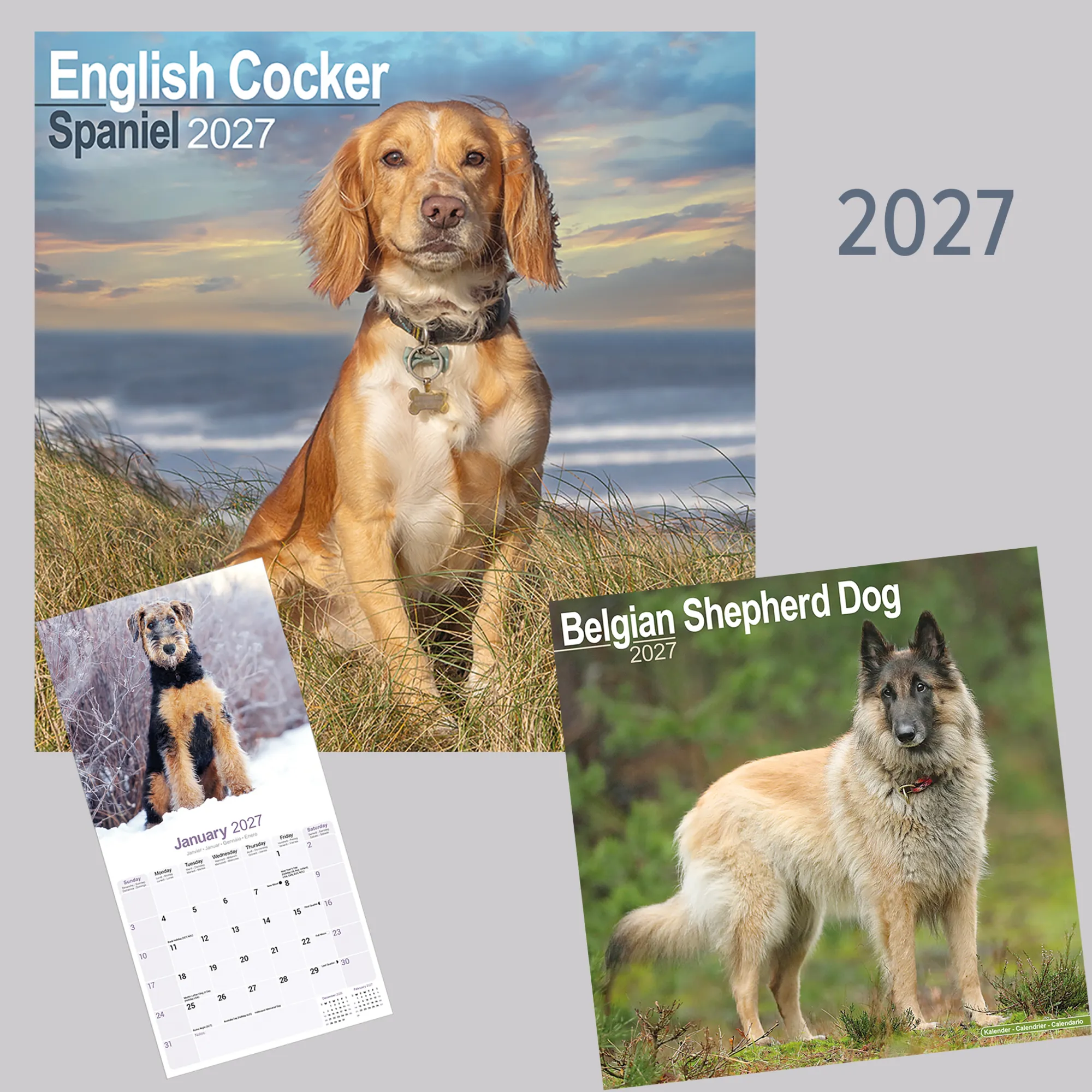 Rassekalender 2027 Rassekalender 2027
