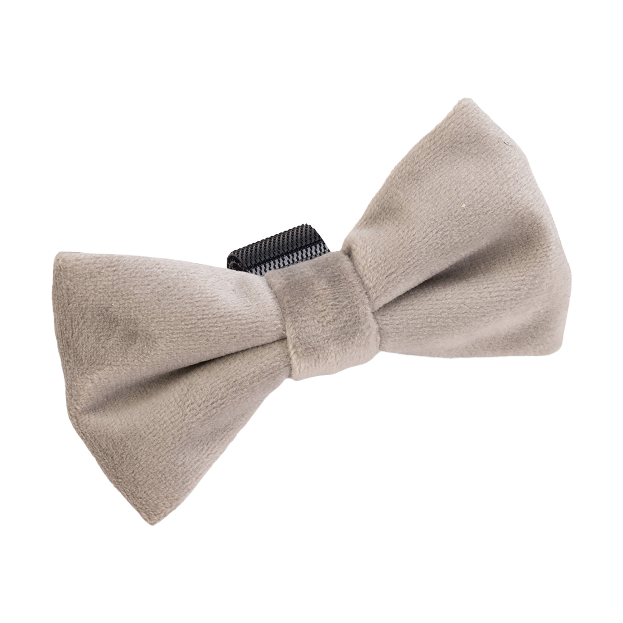 Designed by Lotte Hunde-Festtagsfliege, grau, 9cm