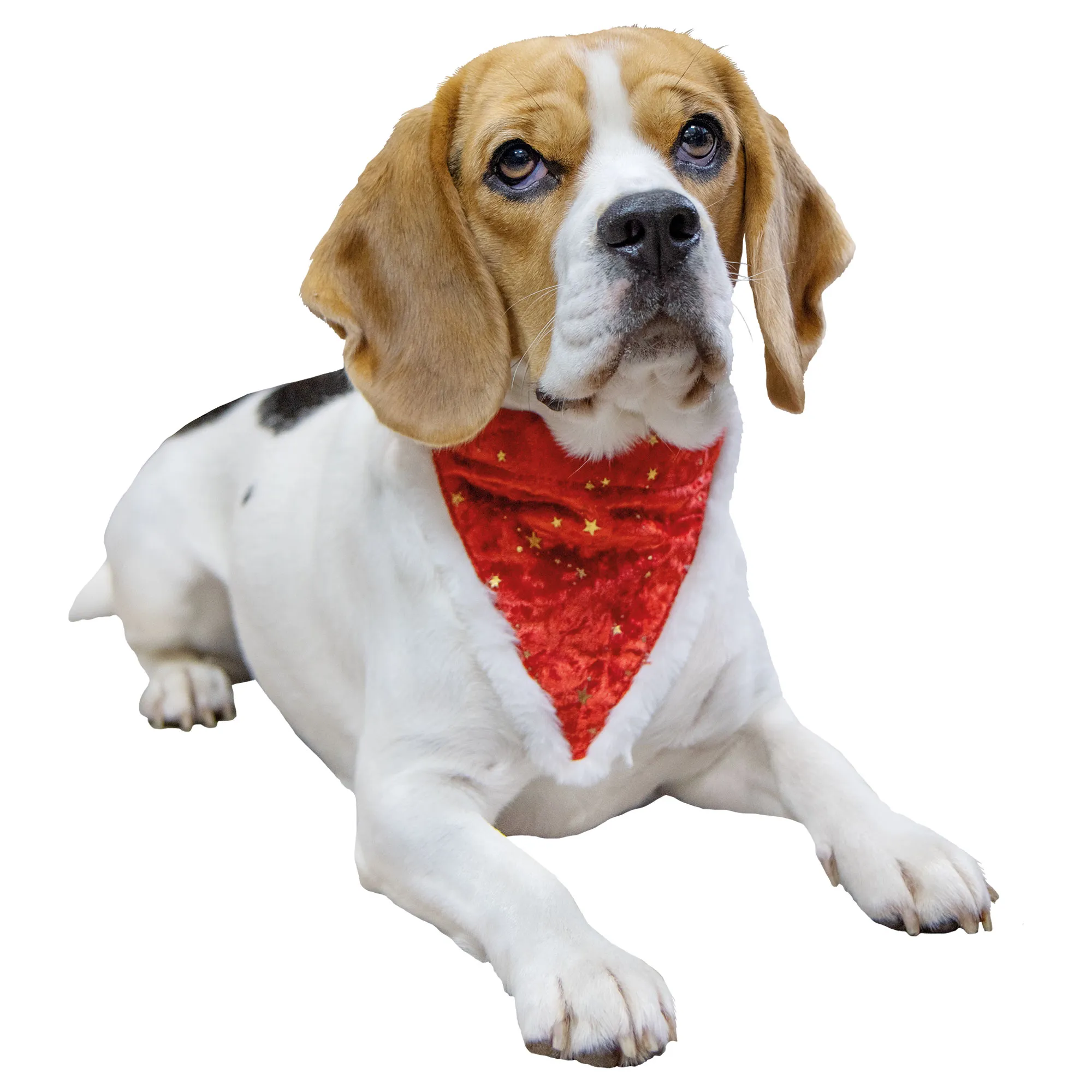 Weihnachts-Halstuch für Hunde Weihnachts-Halstuch für Hunde