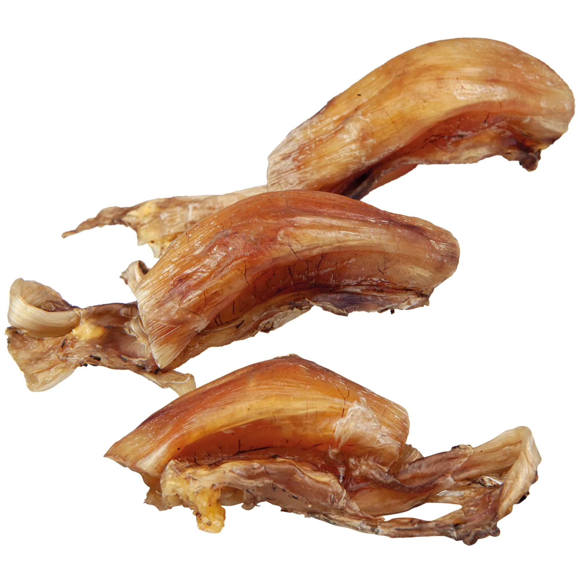 Dicke Straußensehnen (Kniesehnen) Dicke Straußensehnen (Kniesehnen)